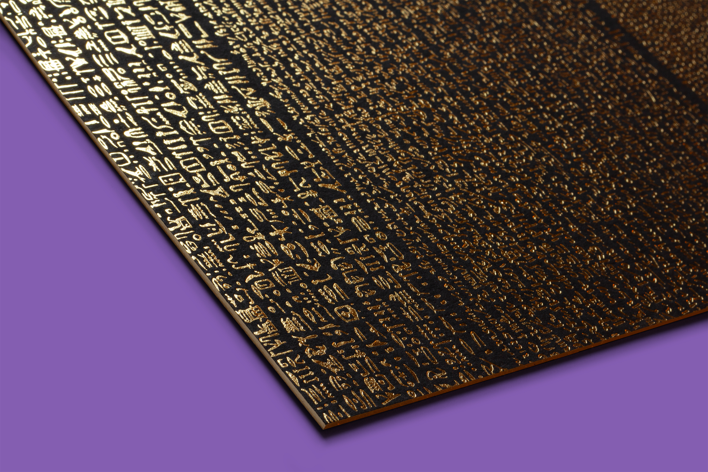 Close-up photo of the embossed illustration on the front cover